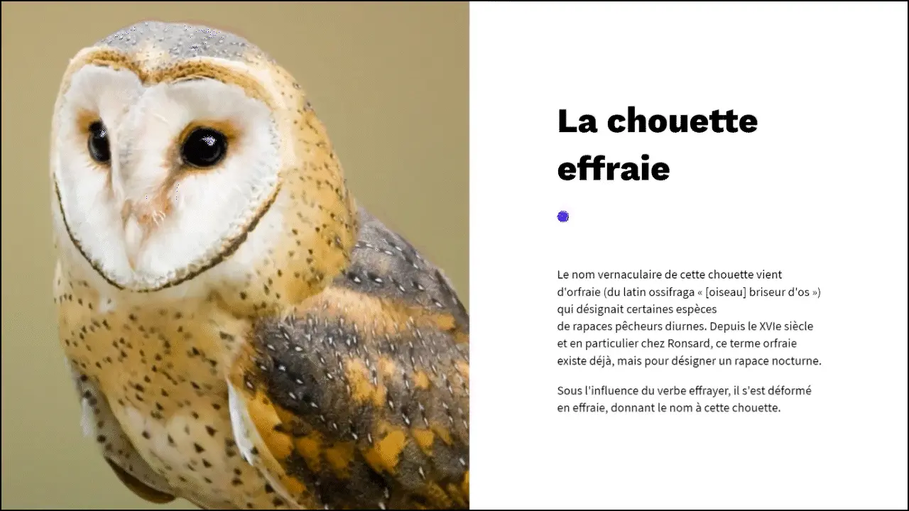 Démonstration de l'interaction Manipulation intérieure