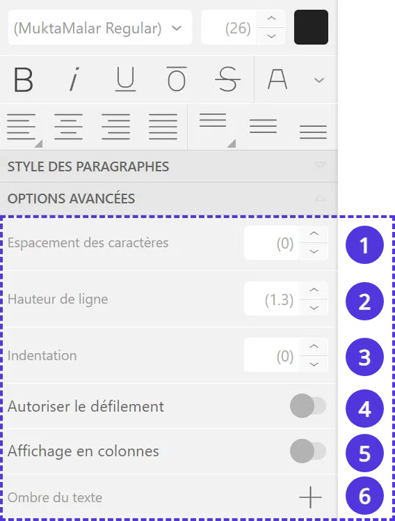 Panneau d'édition avancé