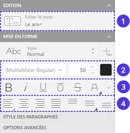 Panneau d'édition des textes