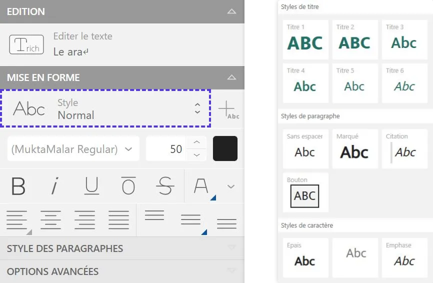 Sélection d'un style de texte