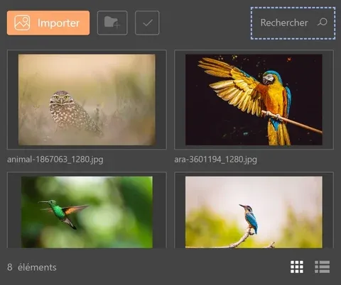 Rechercher des médias