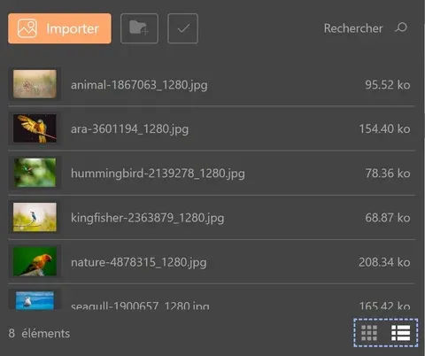Voir les médias en vue liste