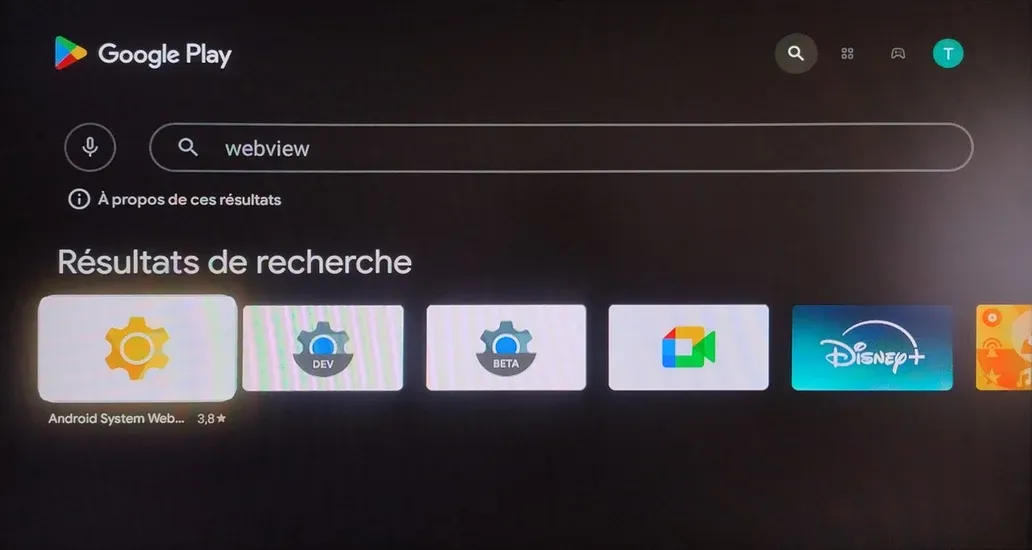 Téléchargement de WebView sur Google Play