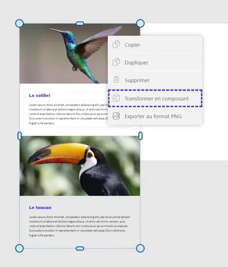 Action de transformer une sélection en composant
