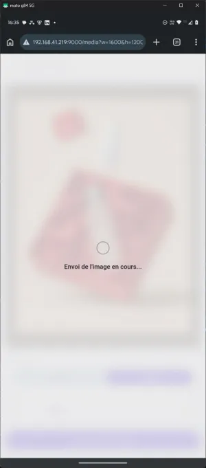 Envoi du média sur l'écran e-paper