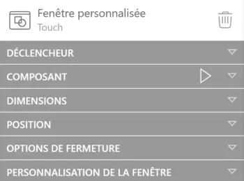 Options de l'interaction Fenêtre personnalisée