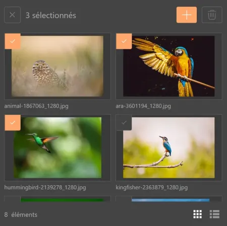 Sélection multiple de médias