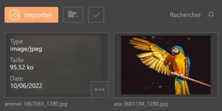 Détails d'un média