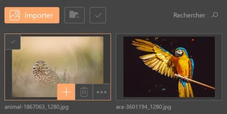 Sélection d'un média