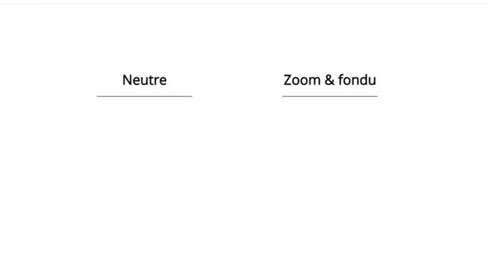 zoom fondu